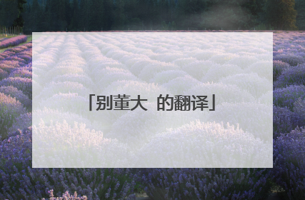 别董大 的翻译