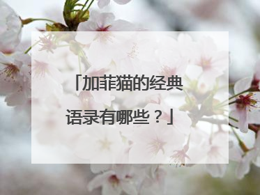 加菲猫的经典语录有哪些?