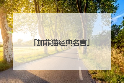 加菲猫经典名言