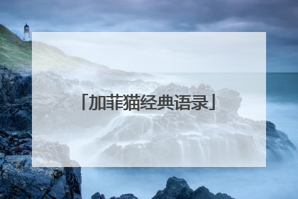 加菲猫经典语录