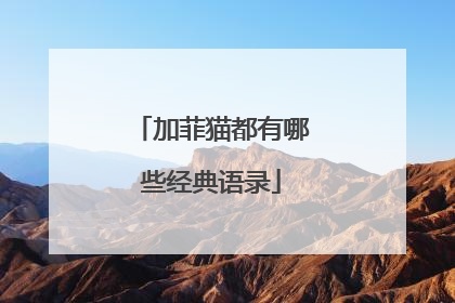 加菲猫都有哪些经典语录