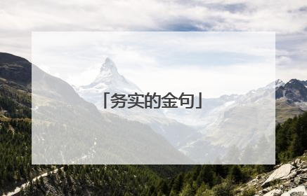 务实的金句