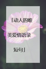 动人的唯美爱情语录短句