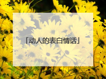 动人的表白情话