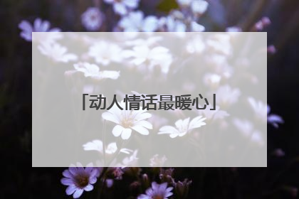 动人情话最暖心