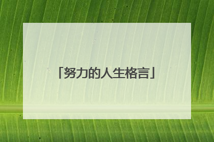 努力的人生格言