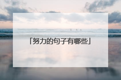 努力的句子有哪些
