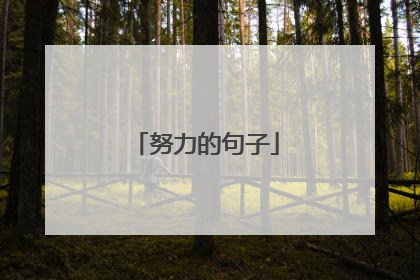 努力的句子
