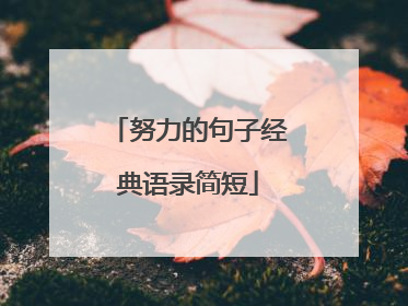 努力的句子经典语录简短
