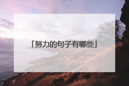 努力的句子有哪些