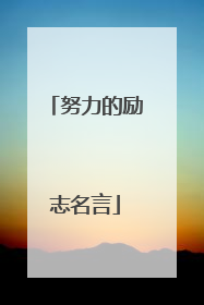 努力的励志名言