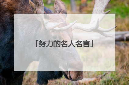 努力的名人名言