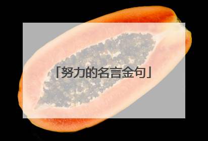 努力的名言金句