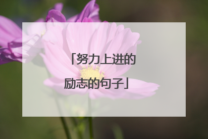 努力上进的励志的句子