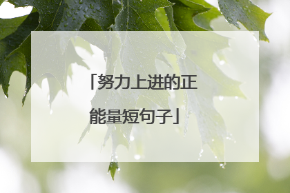 努力上进的正能量短句子