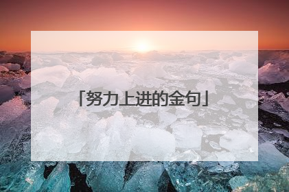努力上进的金句
