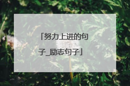 努力上进的句子_励志句子