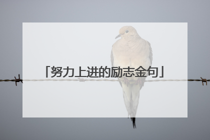 努力上进的励志金句