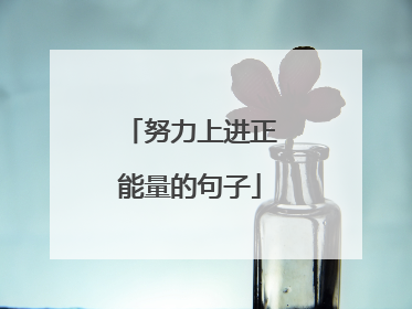 努力上进正能量的句子