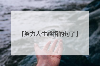 努力人生感悟的句子