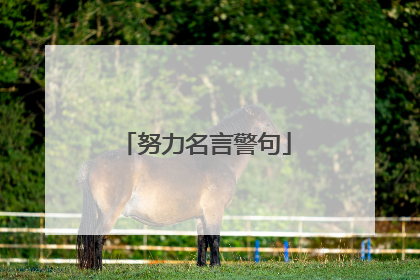 努力名言警句