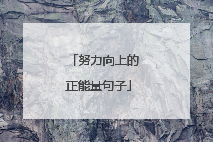 努力向上的正能量句子