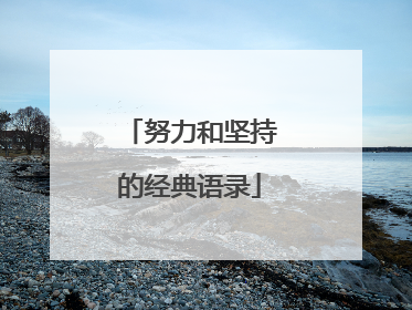 努力和坚持的经典语录