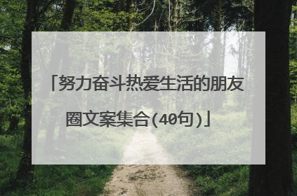 努力奋斗热爱生活的朋友圈文案集合(40句)