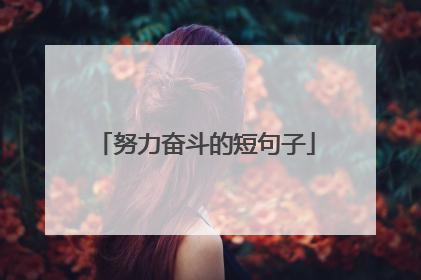 努力奋斗的短句子