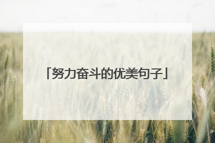 努力奋斗的优美句子