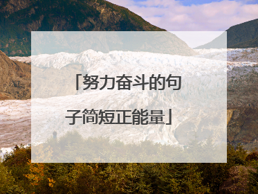 努力奋斗的句子简短正能量