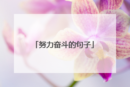 努力奋斗的句子
