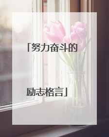 努力奋斗的励志格言