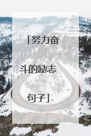 努力奋斗的励志句子
