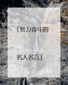 努力奋斗的名人名言