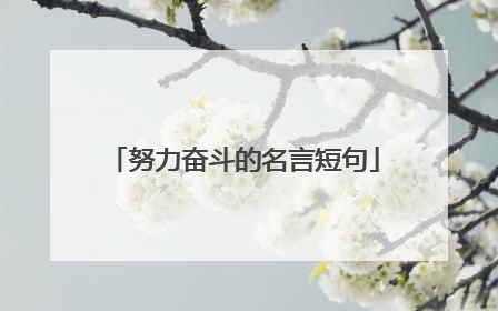 努力奋斗的名言短句