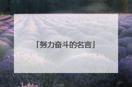 努力奋斗的名言