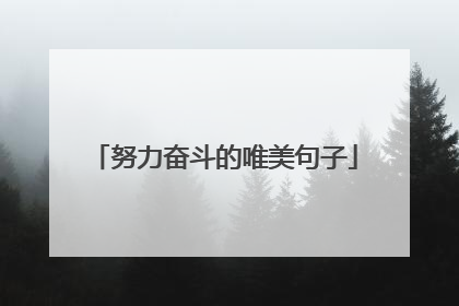 努力奋斗的唯美句子