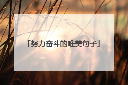 努力奋斗的唯美句子