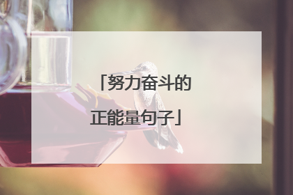 努力奋斗的正能量句子