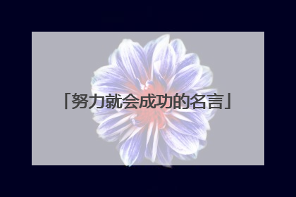 努力就会成功的名言