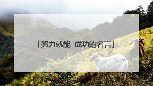 努力就能 成功的名言