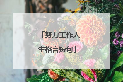 努力工作人生格言短句
