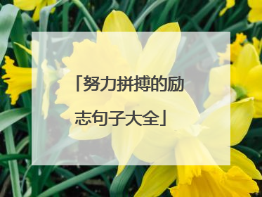 努力拼搏的励志句子大全