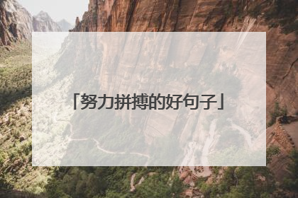 努力拼搏的好句子