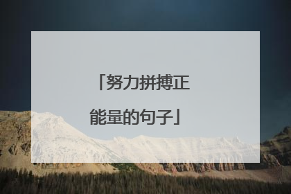 努力拼搏正能量的句子
