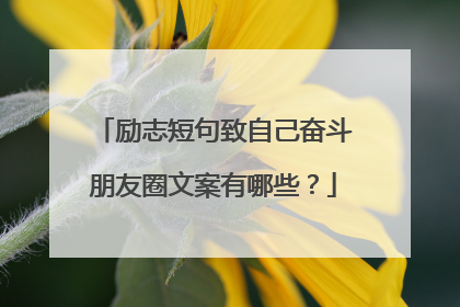 励志短句致自己奋斗朋友圈文案有哪些?