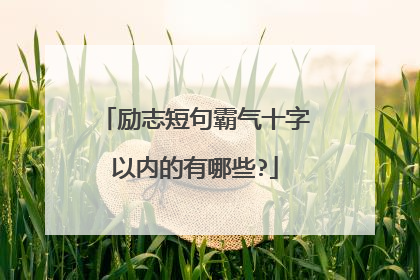 励志短句霸气十字以内的有哪些?