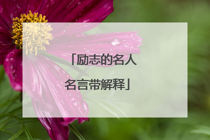 励志的名人名言带解释