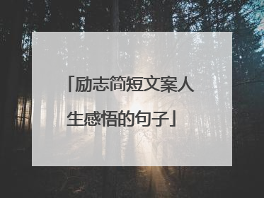 励志简短文案人生感悟的句子